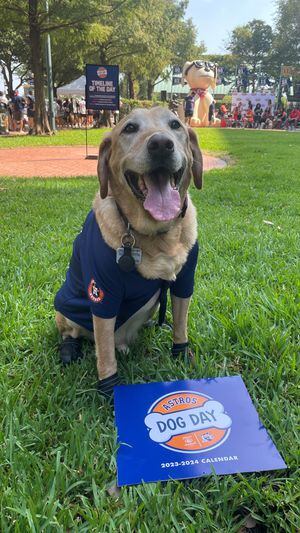 Houston Astros Dog Collar or Leash