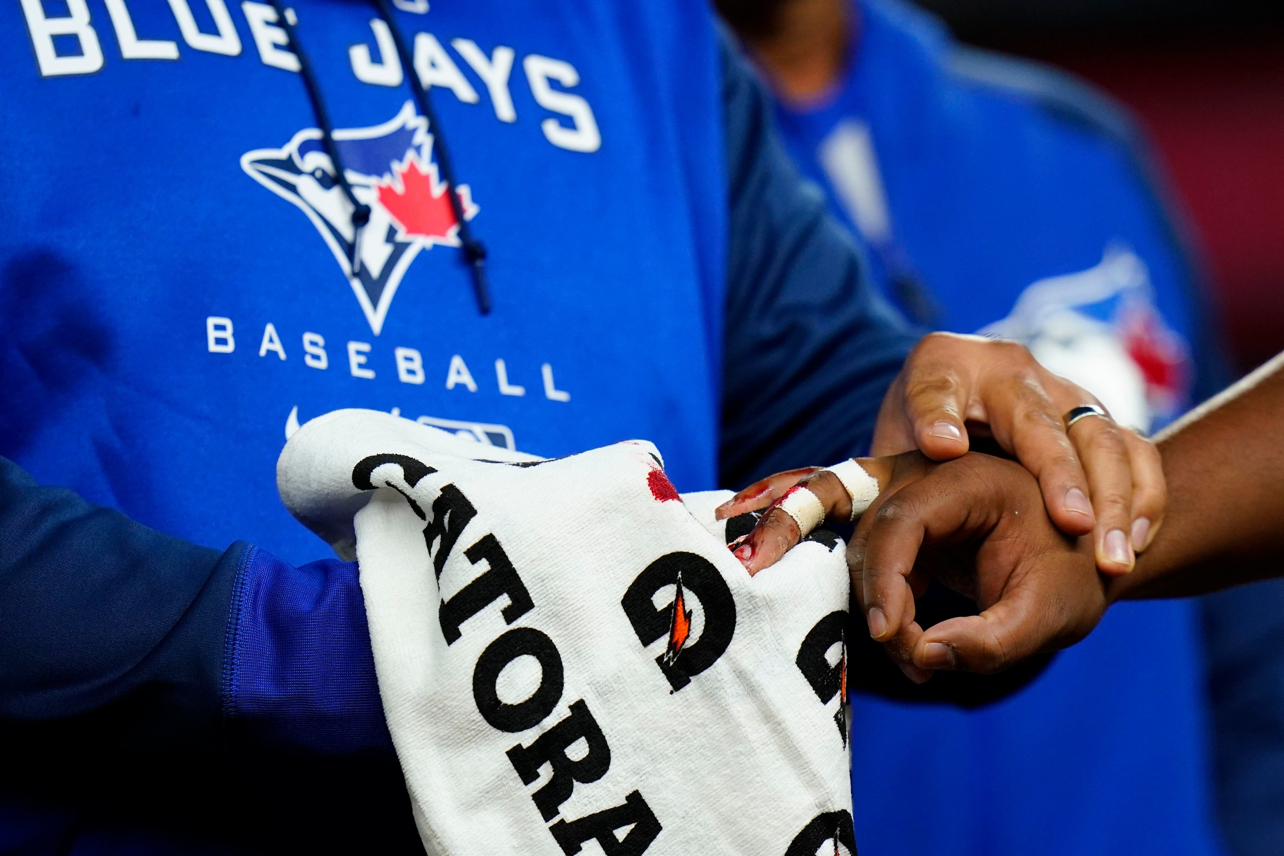  Vladimir Guerrero Jr. Shirt - Vladimir Guerrero Jr. Toronto  Script : Sports & Outdoors